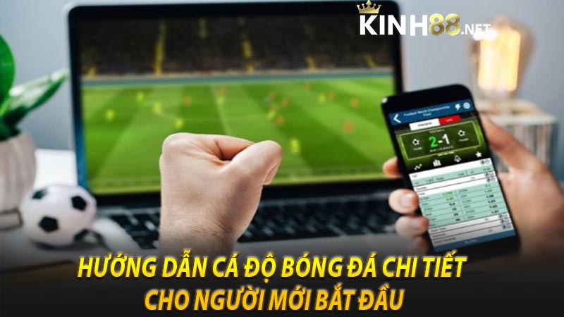 Hướng dẫn cá độ bóng đá chi tiết cho người mới bắt đầu